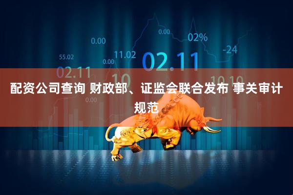 配资公司查询 财政部、证监会联合发布 事关审计规范