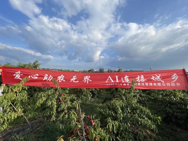 正规线上配资 爱心助农无界 AI 连接城乡：湖北百域用科技架起甜蜜桥梁